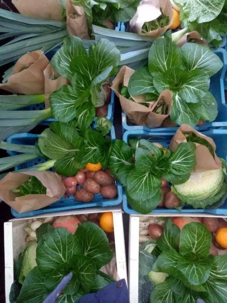 Divers légumes locaux comme le bok choy, les pommes de terre et les tomates disposés dans des caisses et enveloppés dans du papier sur un marché.