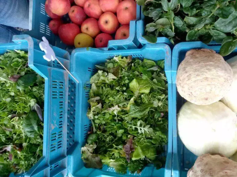 Produits frais exposés sur un marché local, comprenant des paniers de pommes, de mesclun et de légumes-racines.