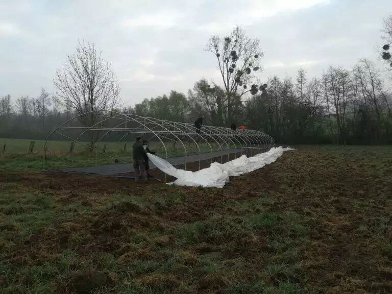 Des ouvriers installent un couvercle en plastique blanc sur une grande charpente métallique arquée dans un champ herbeux à Blarégnies, par un matin brumeux.