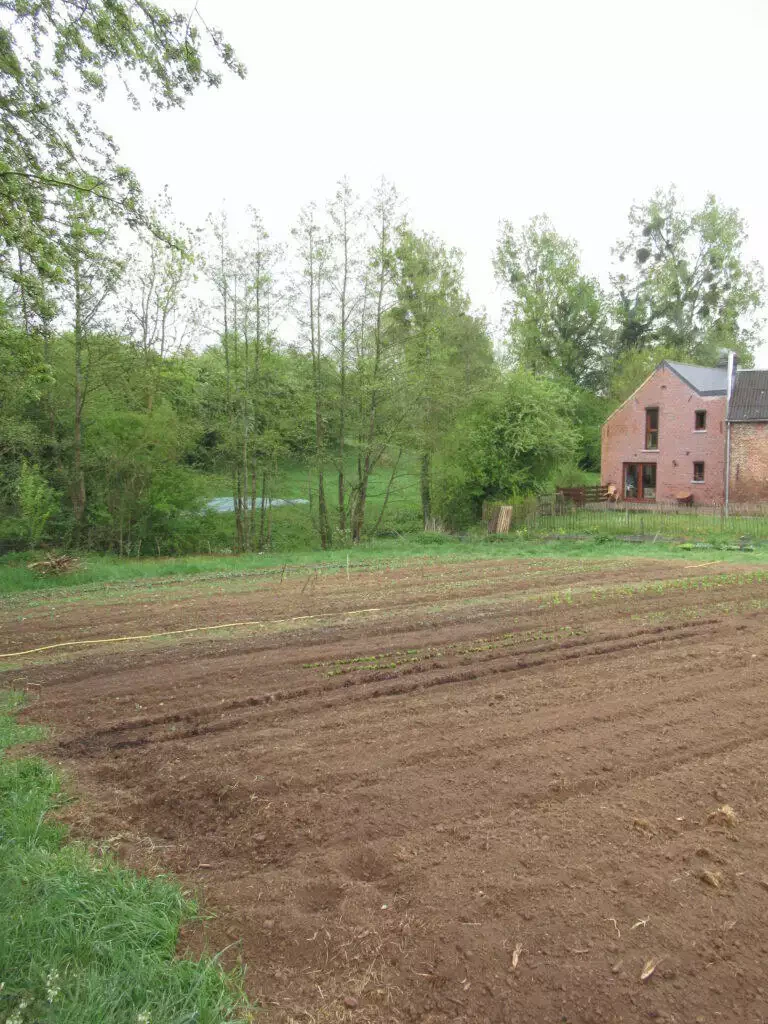 Une scène rurale avec un champ fraîchement labouré au premier plan, une rangée d'arbres au milieu et une maison en briques rouges près d'un étang local en arrière-plan.