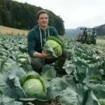 Un homme souriant, tenant un chou à moitié coupé, agenouillé dans un champ de choux avec un tracteur en arrière-plan à Blarégnies.