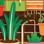 Illustration d'une étagère de plantes d'intérieur avec diverses plantes en pot, dont de l'aloe vera et des fougères, sur un fond marron à motifs, mettant en vedette des espèces locales.