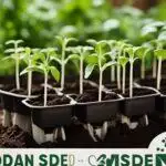 Jeunes plantes poussant dans un plateau, situé dans une serre locale, superposition de texte faisant la promotion d'une marque de jardinage.